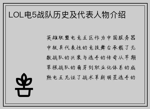 LOL电5战队历史及代表人物介绍